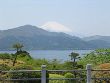箱根山・旧街道杉並木
