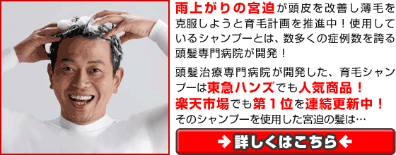 ���тŔY�ދ{�����I�ԃV�����v�[�̔閧�c