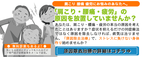 肩こり・腰痛・疲労◇ストレスに打ち勝つ強い身体作り