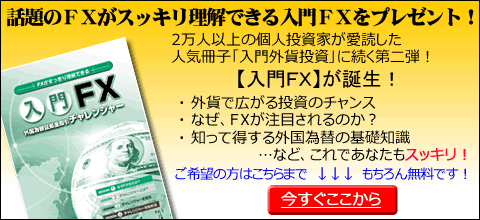 結論、これからは外貨投資です。【入門ＦＸ】進呈中！