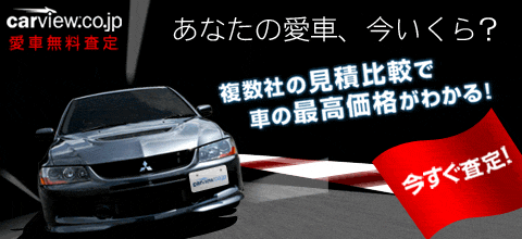 carview���Ԗ�������