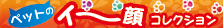 �y�b�g�̃C�`��R���N�V����
