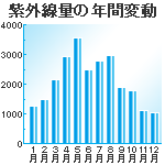 美容1