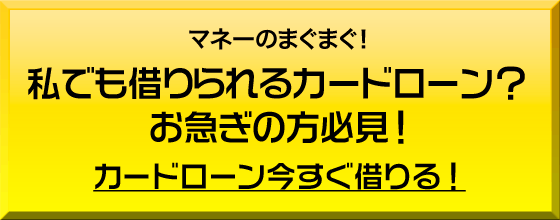 私でも借りられるカードローン？⇒即日審査