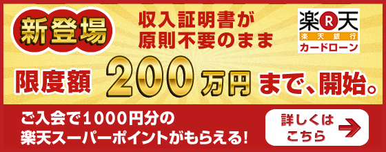 《収入証明書原則不要》⇒２００万円まで！