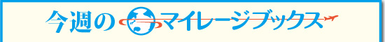���T�̃}�C���[�W�u�b�N�X