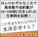 今週の注目情報