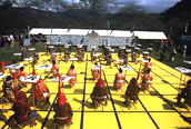 人間将棋