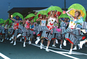 日本のまんなか渋川へそ祭り