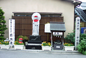日本のまんなか渋川へそ祭り