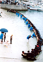 海中盆綱引き