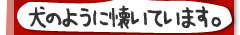 �y�b�g�̂Ђƌ��I