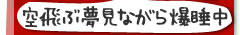 �y�b�g�̂Ђƌ��I