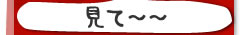 �y�b�g�̂Ђƌ��I