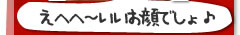 �y�b�g�̂Ђƌ��I