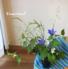 旬の花を気軽に楽しむ「3分アレンジ」&豆知識